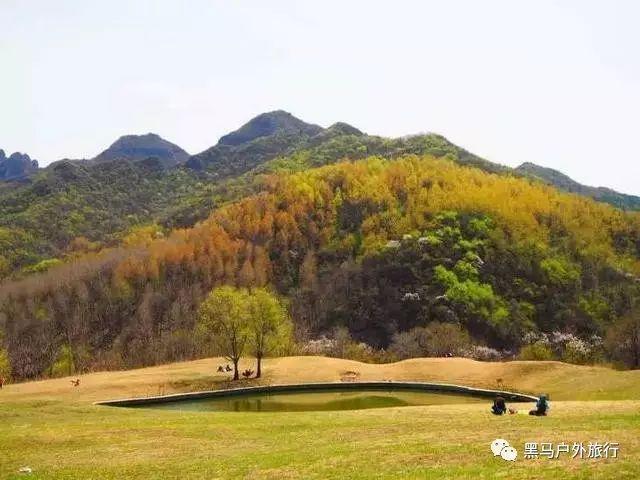 中国动力电池产业迎变革,宁德时代遥遥领先,而比亚迪要努力了